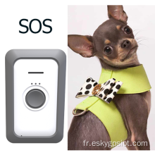 Tracker GPS sans fil 4G pour animaux de compagnie